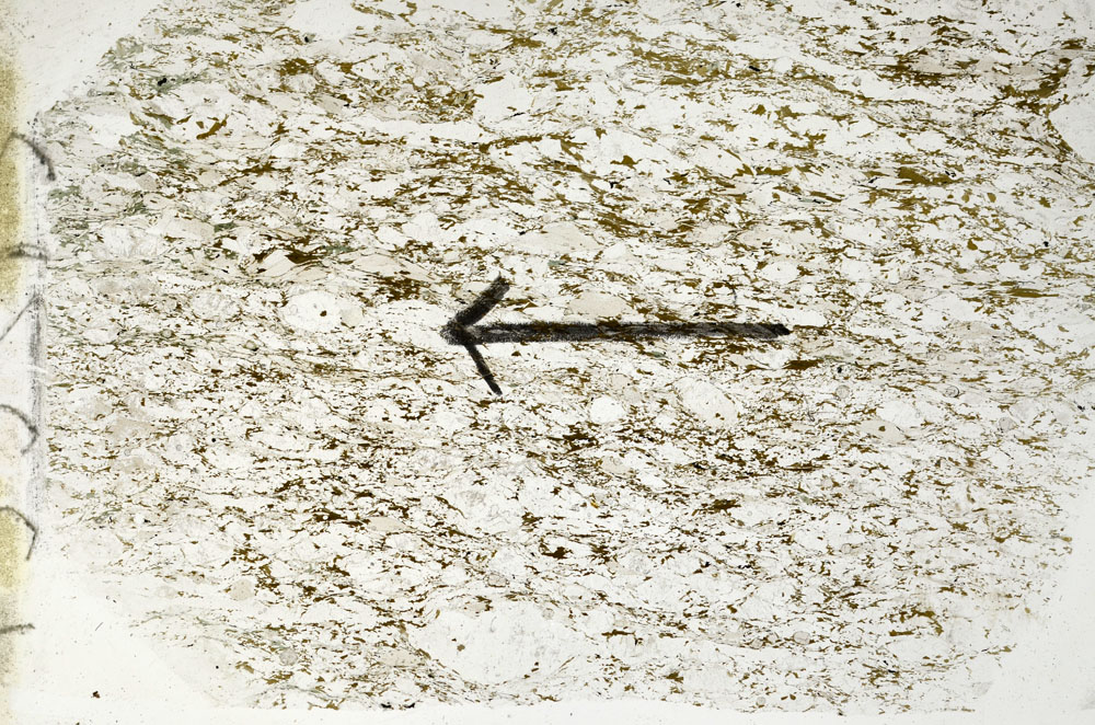 Plane Polarized, S89088
