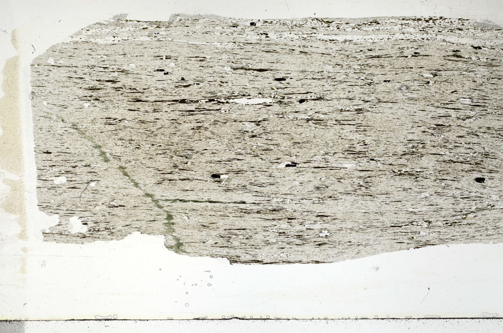 Plane Polarized, S89089