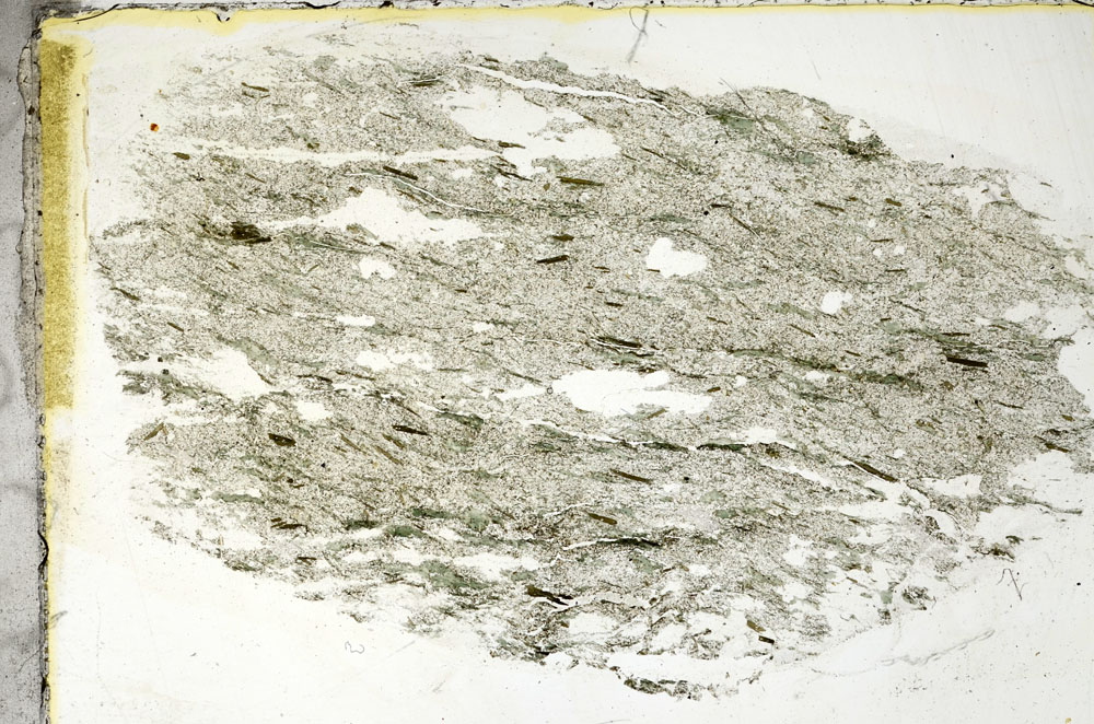 Plane Polarized, S89091