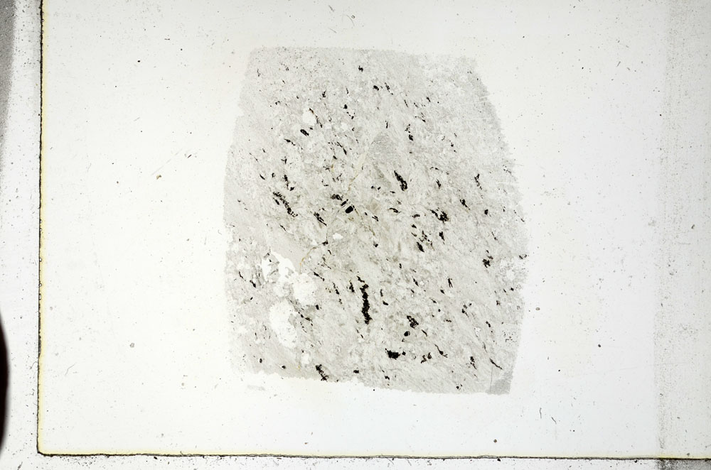 Plane Polarized, S89098