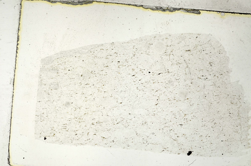 Plane Polarized, S89102