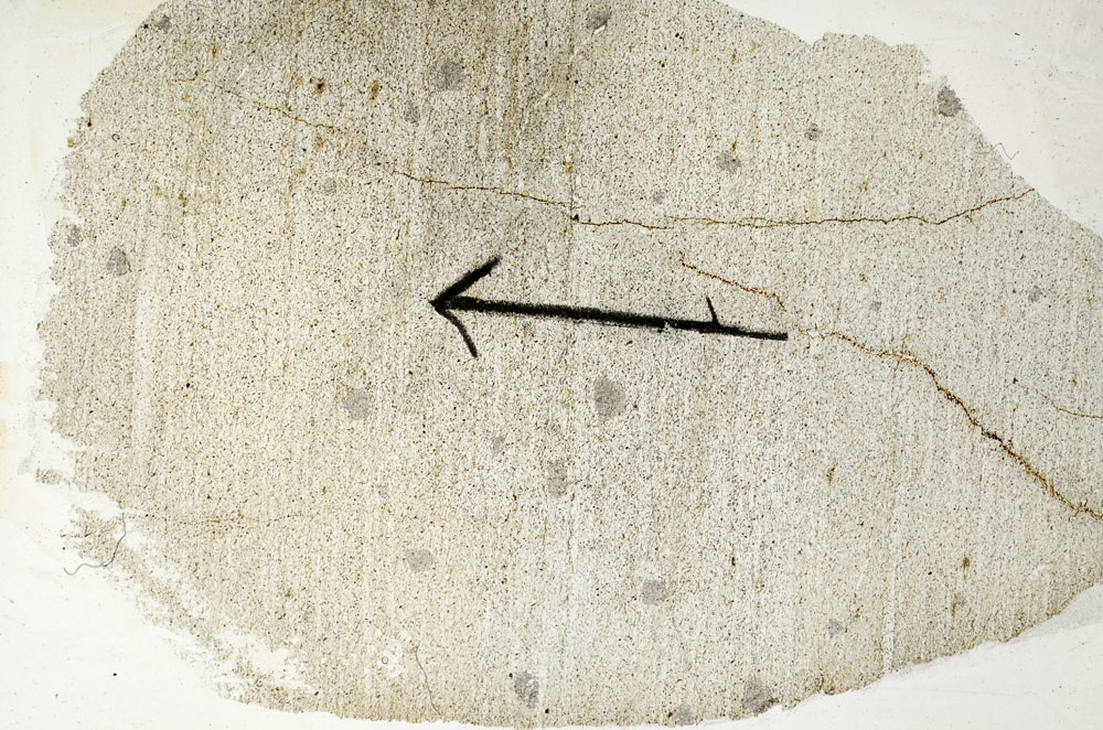 Plane Polarized, S89108