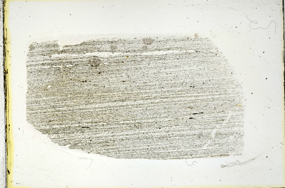 Plane Polarized, S89113