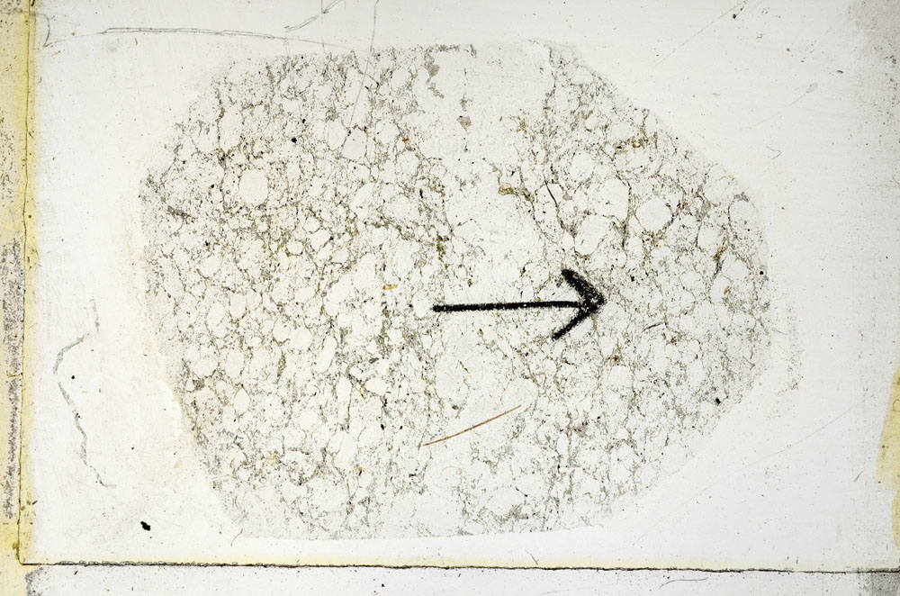 Plane Polarized, S89114