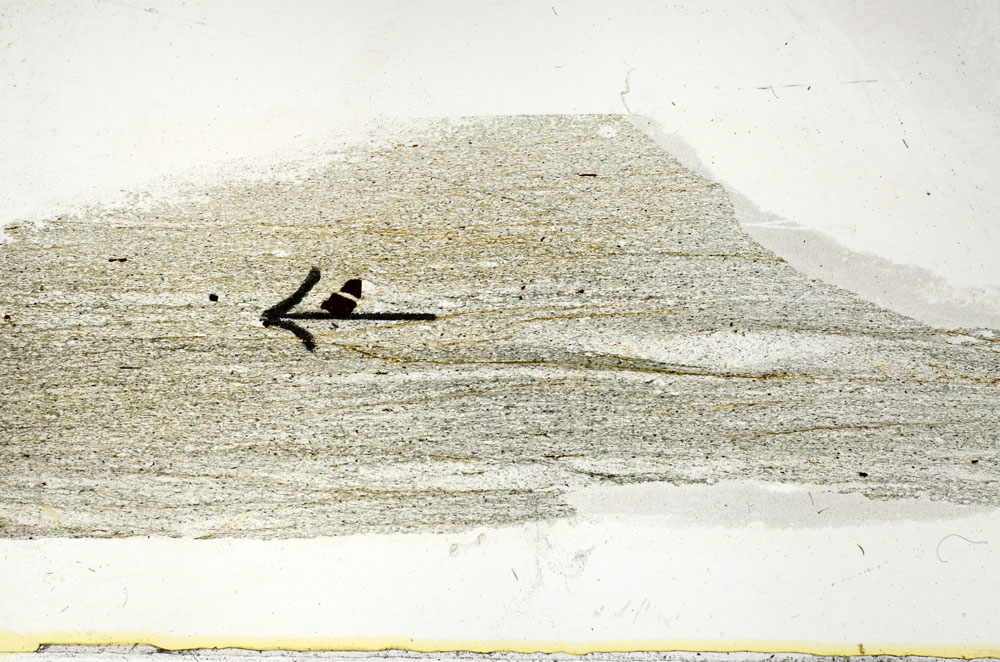 Plane Polarized, S89115