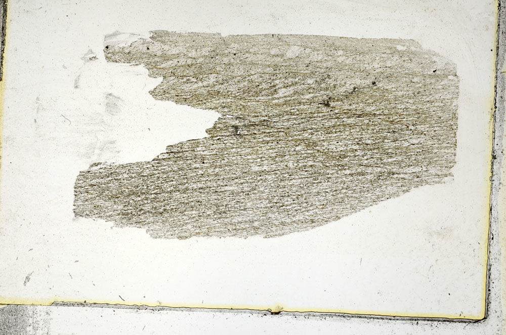 Plane Polarized, S89117