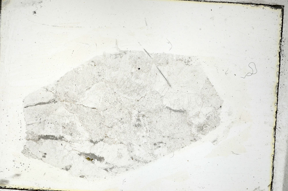 Plane Polarized, S89119