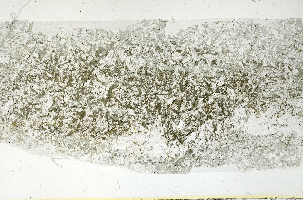 Plane Polarized, S89122