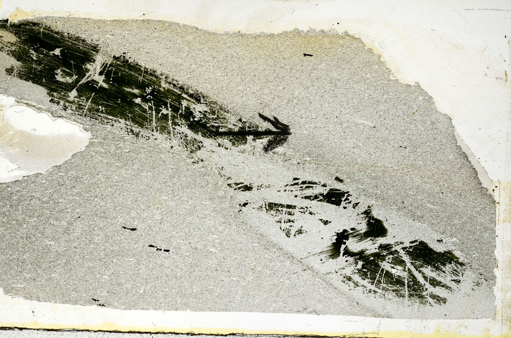 Plane Polarized, S89123
