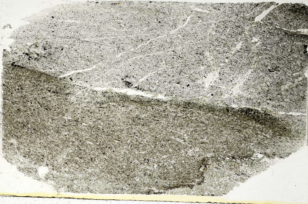 Plane Polarized, S89137