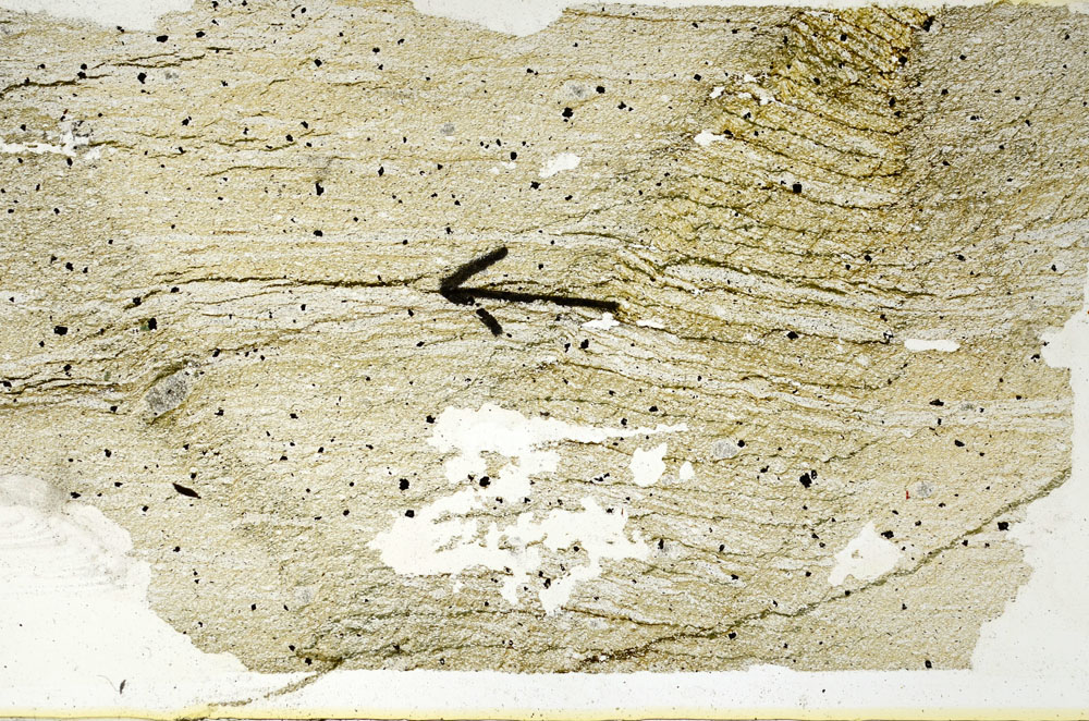 Plane Polarized, S89138