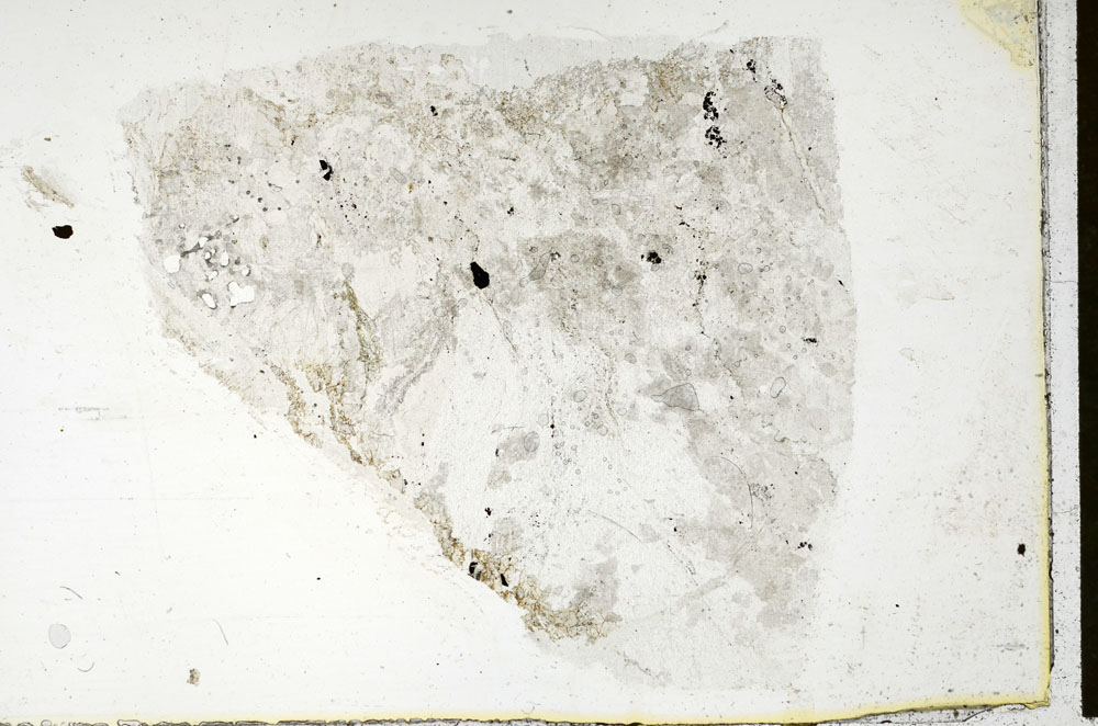 Plane Polarized, S89145
