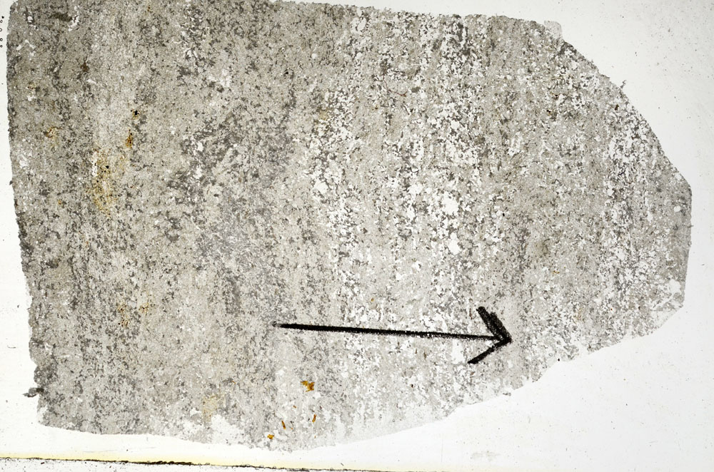 Plane Polarized, S89147