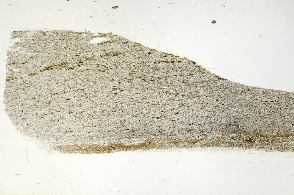Plane Polarized, S89148