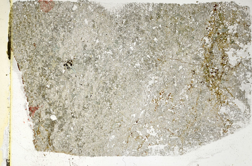 Plane Polarized, S89158