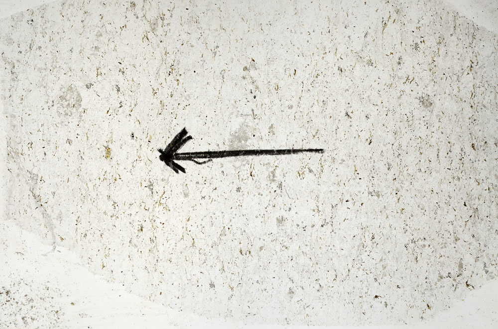 Plane Polarized, S89159