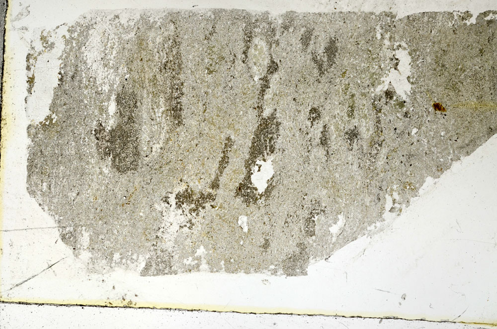 Plane Polarized, S89160