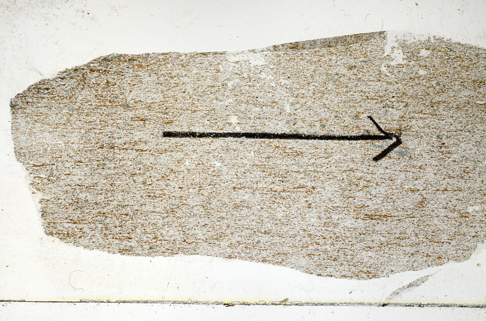 Plane Polarized, S89163