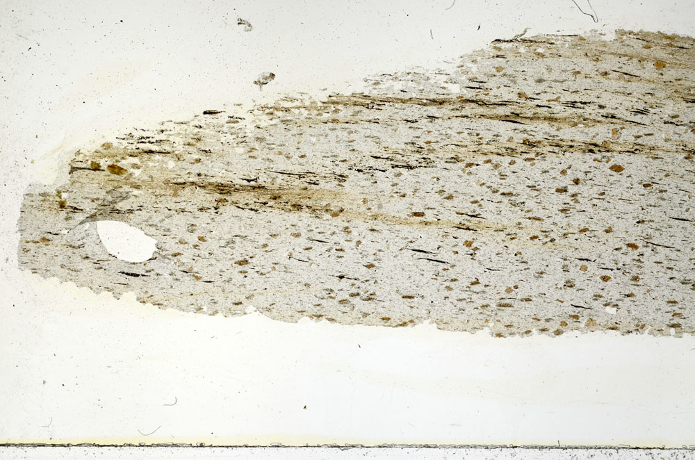 Plane Polarized, S89167