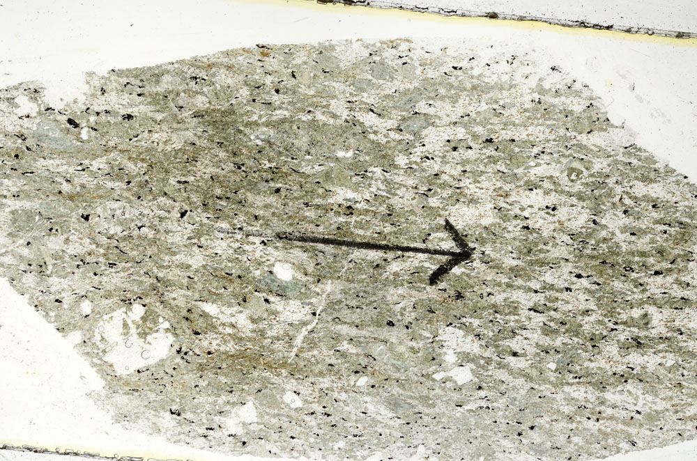 Plane Polarized, S89172