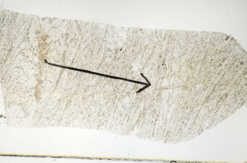 Plane Polarized, S89181
