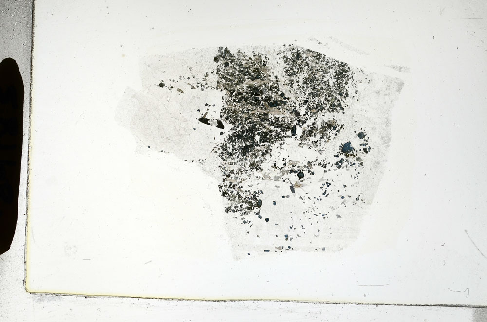 Plane Polarized, S89183