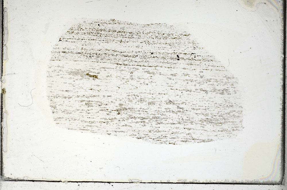 Plane Polarized, S89185
