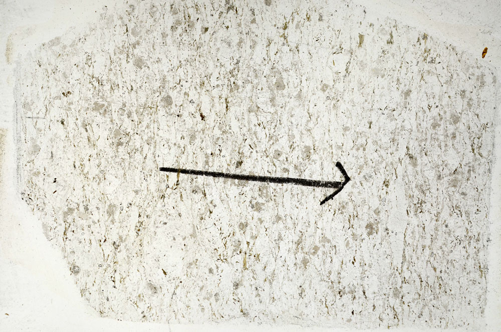 Plane Polarized, S89191