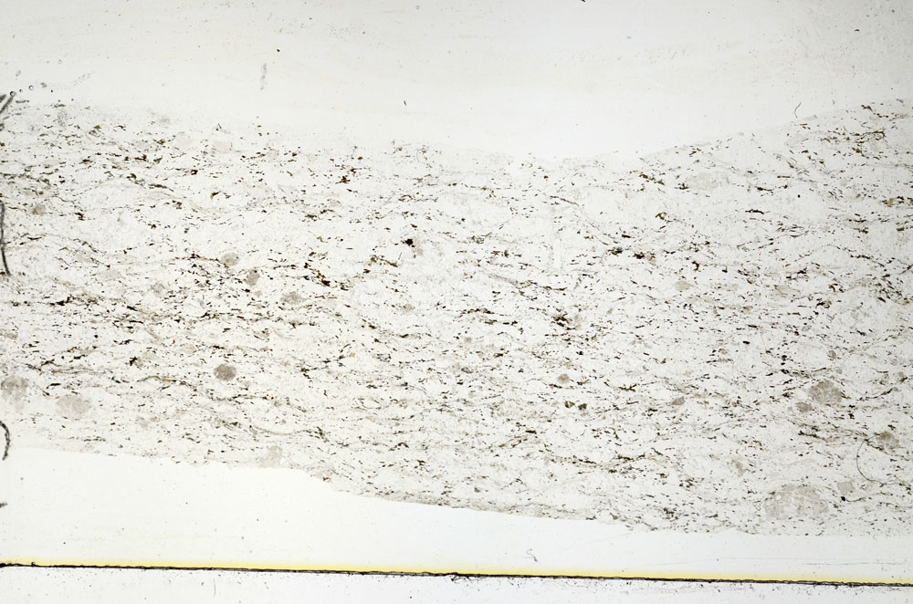 Plane Polarized, S89197