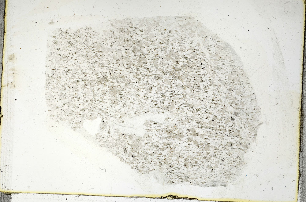 Plane Polarized, S89202