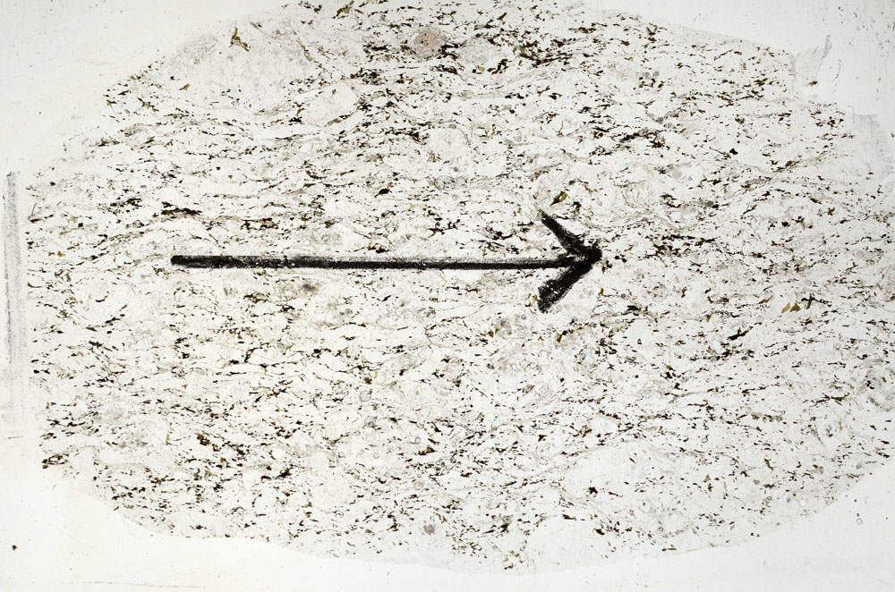 Plane Polarized, S89205