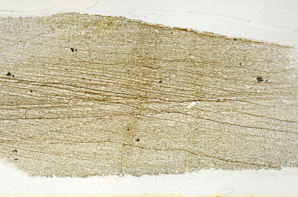 Plane Polarized, S89212