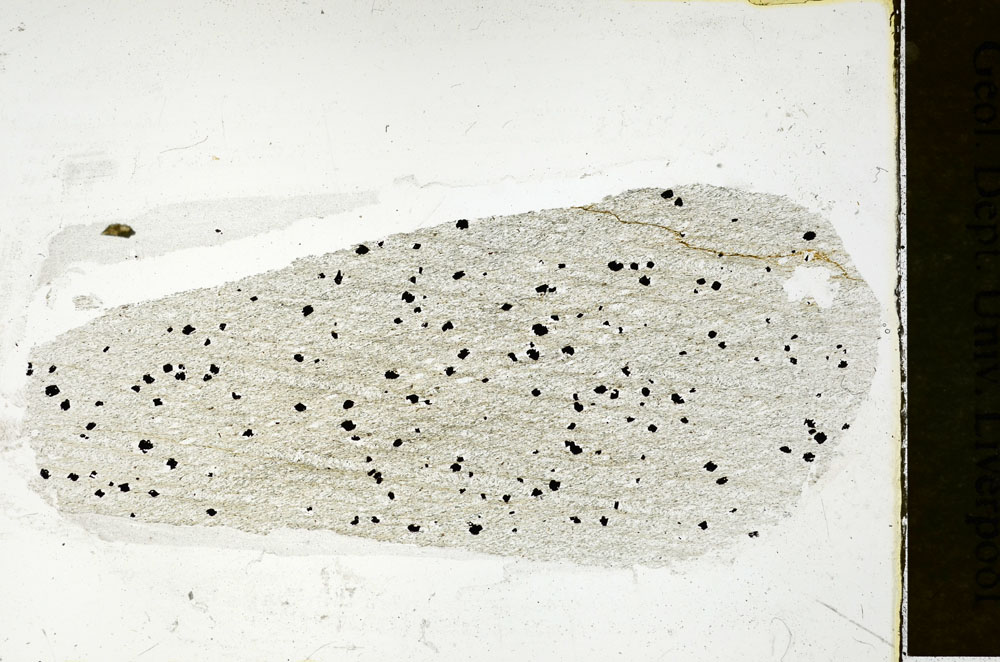 Plane Polarized, S89214