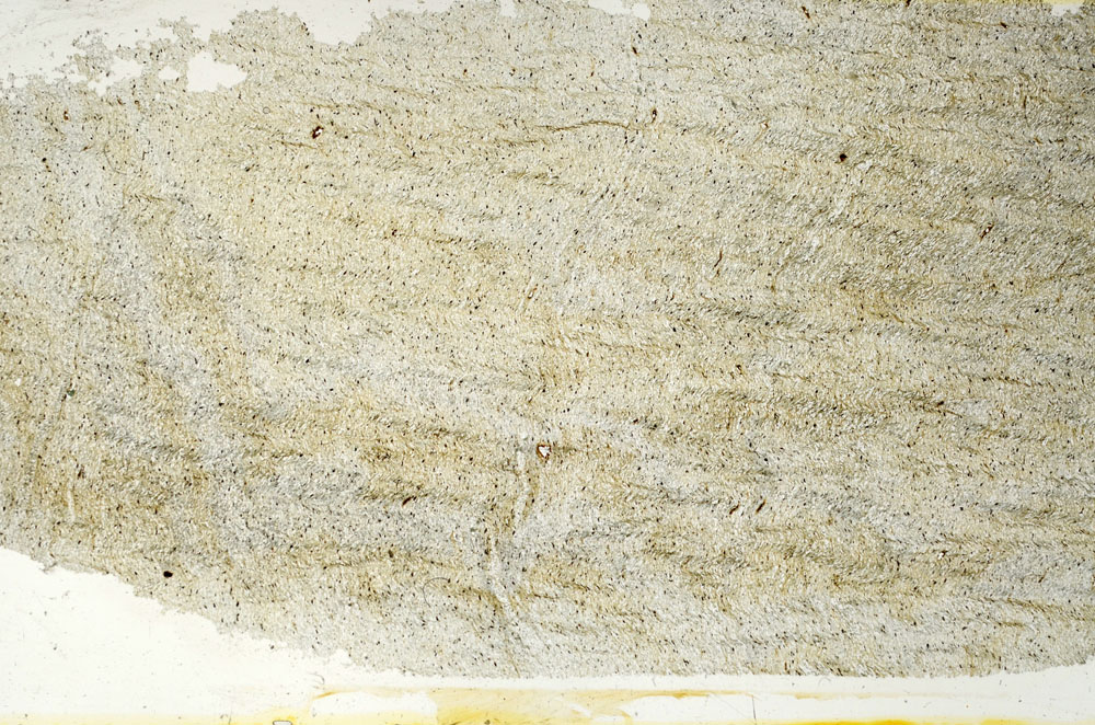Plane Polarized, S89217