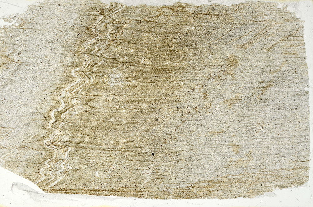 Plane Polarized, S89219