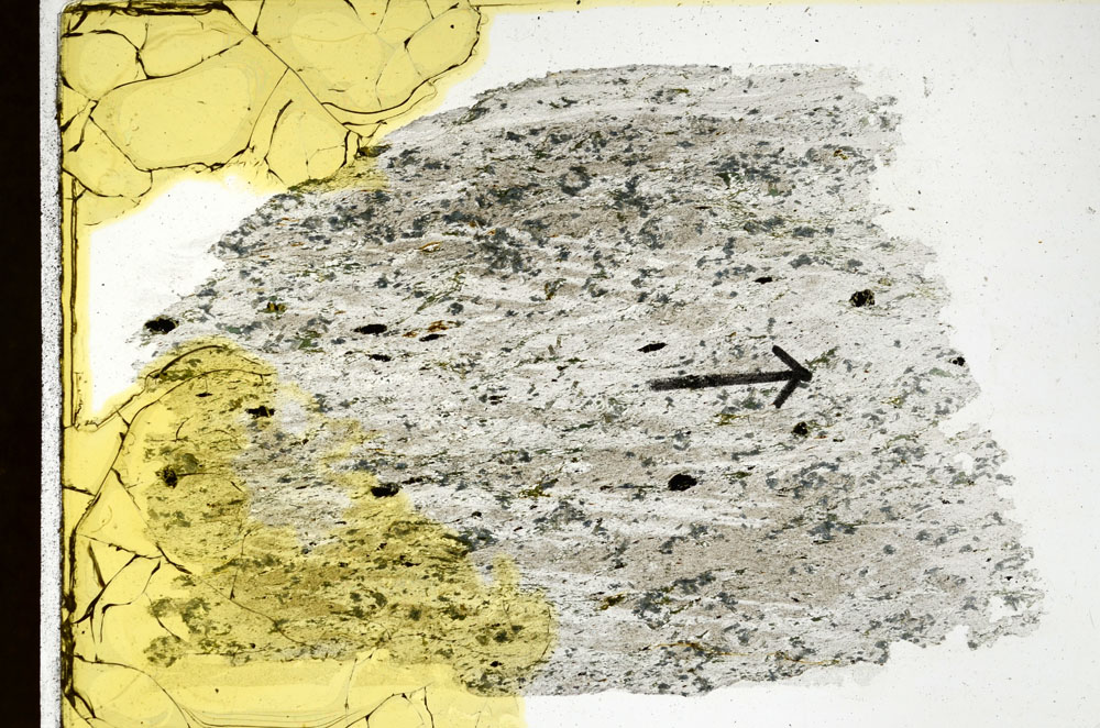 Plane Polarized, S89221