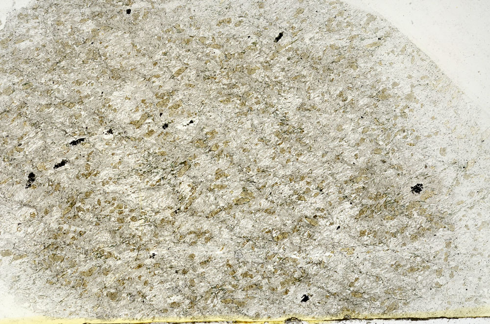Plane Polarized, S89222
