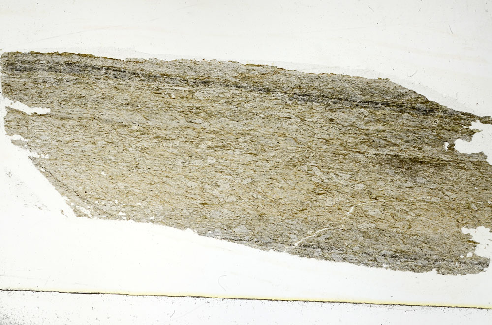 Plane Polarized, S89225