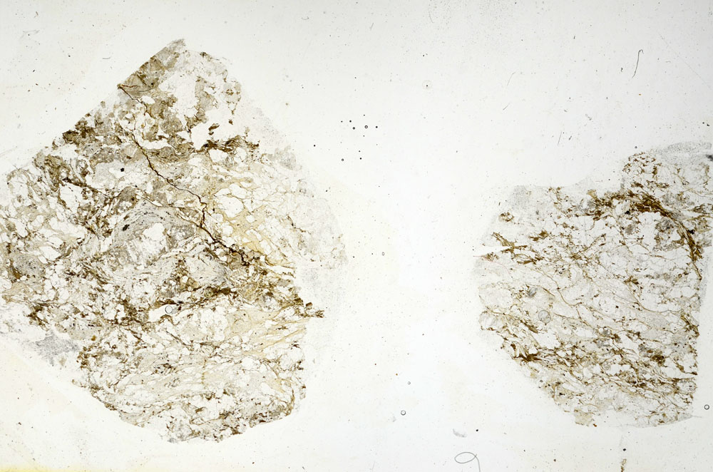 Plane Polarized, S89227