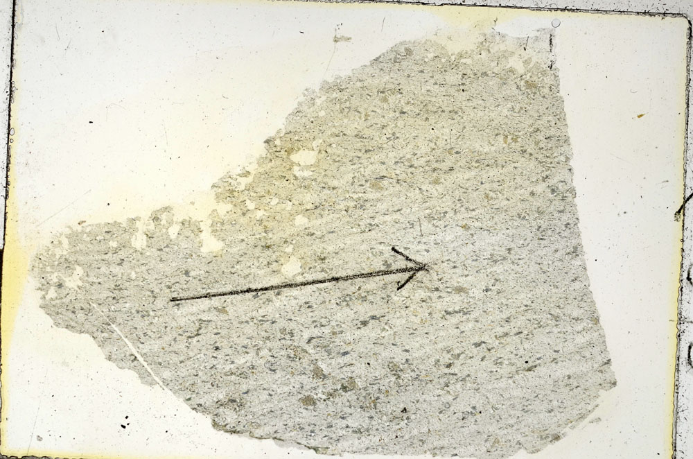 Plane Polarized, S89228