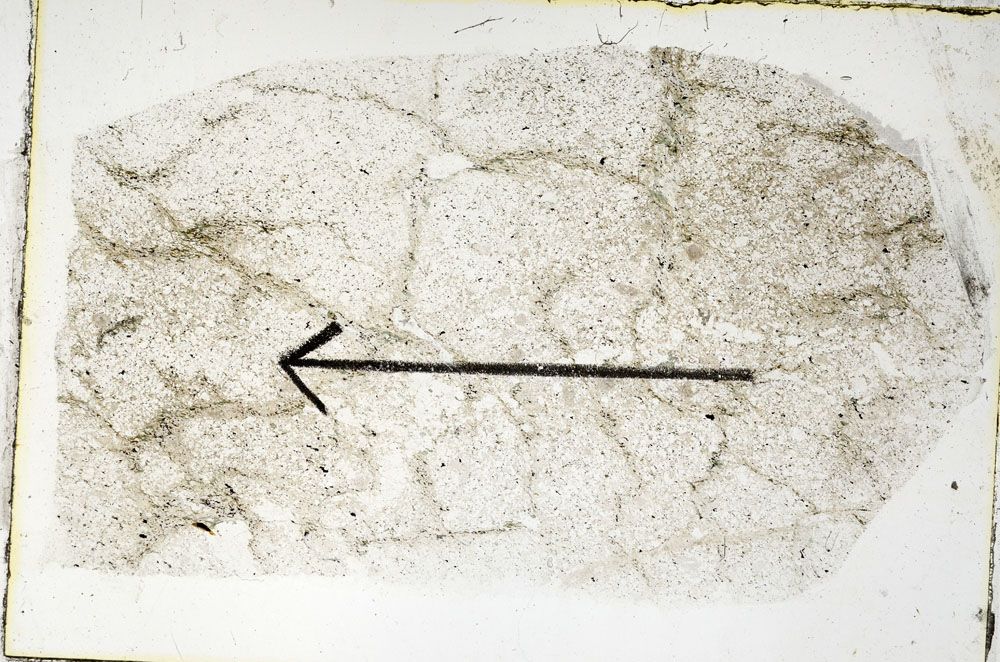 Plane Polarized, S89229