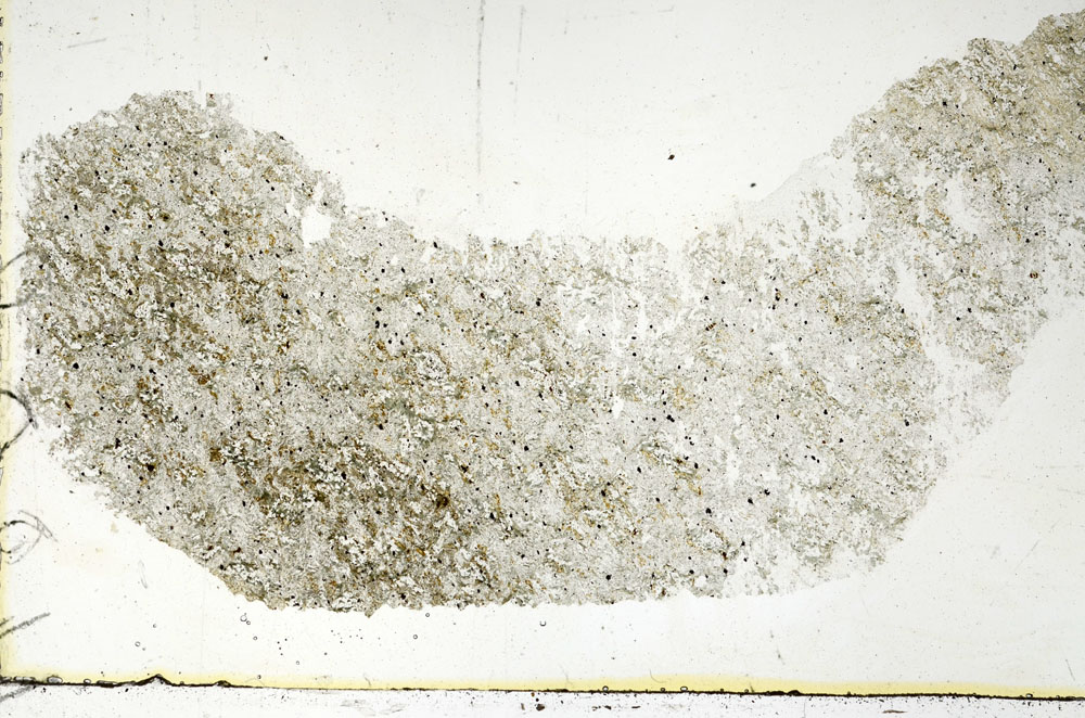 Plane Polarized, S89231