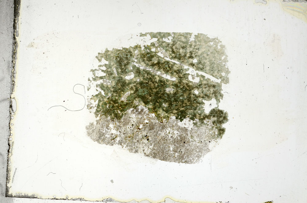 Plane Polarized, S89232