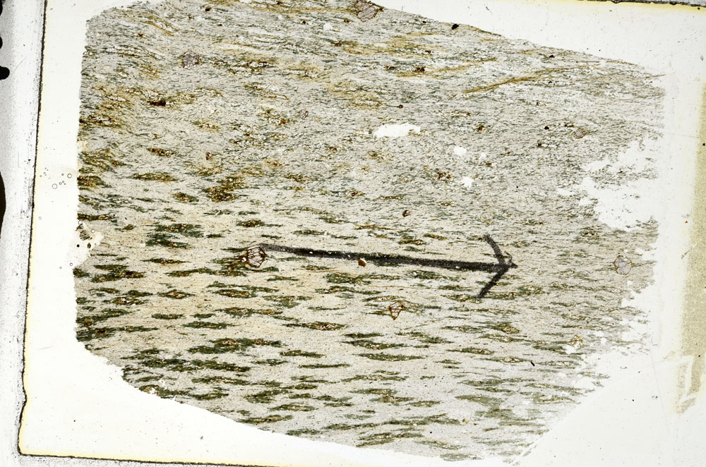 Plane Polarized, S89233