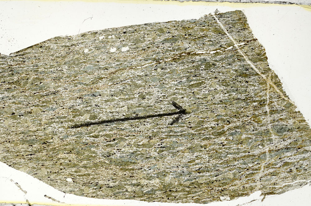 Plane Polarized, S89235