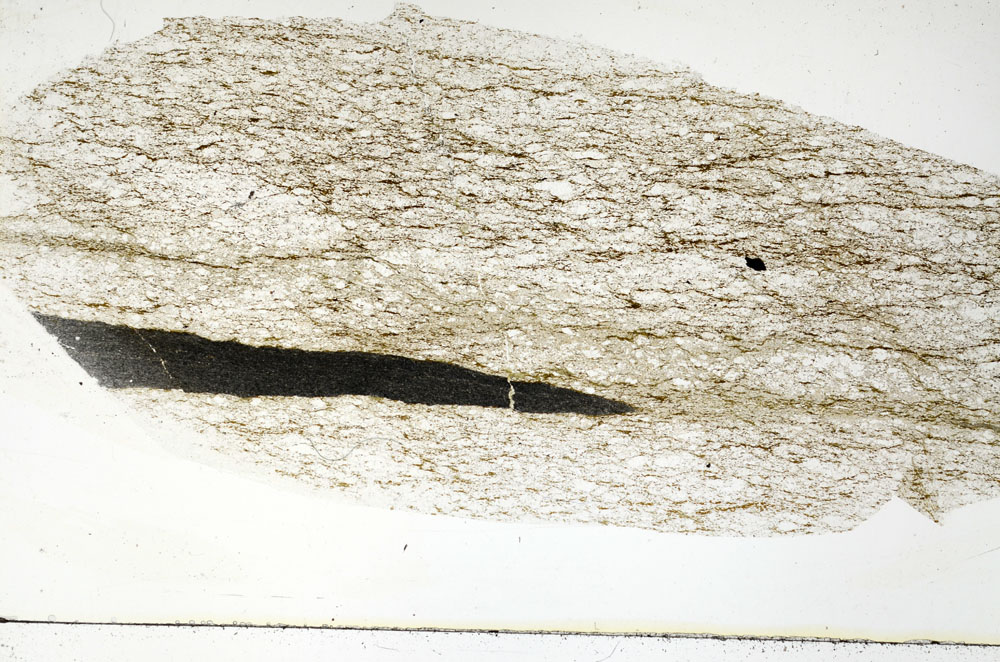Plane Polarized, S89236