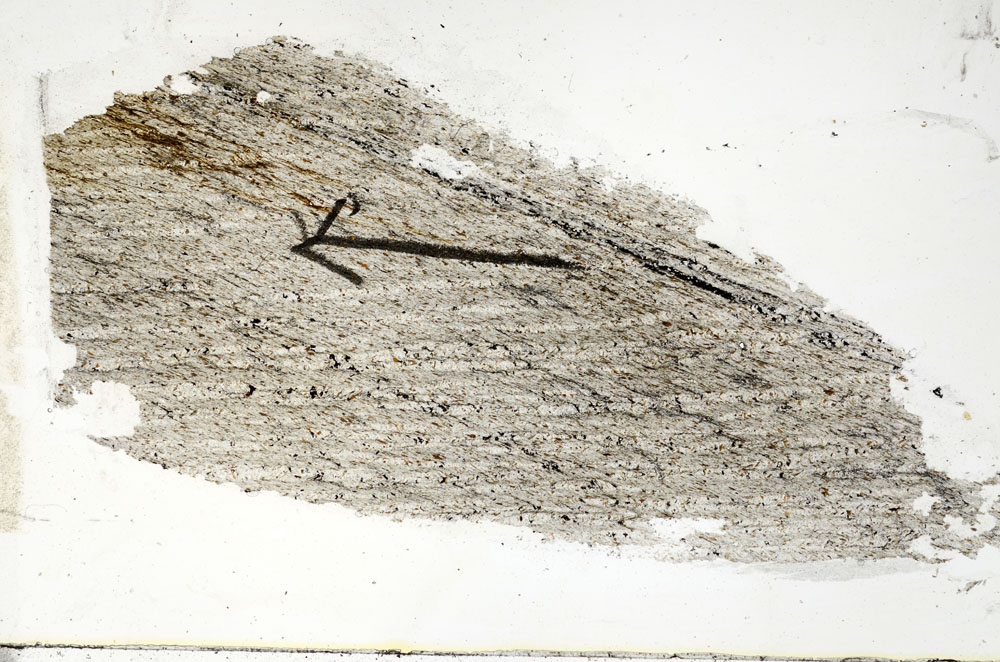 Plane Polarized, S89237