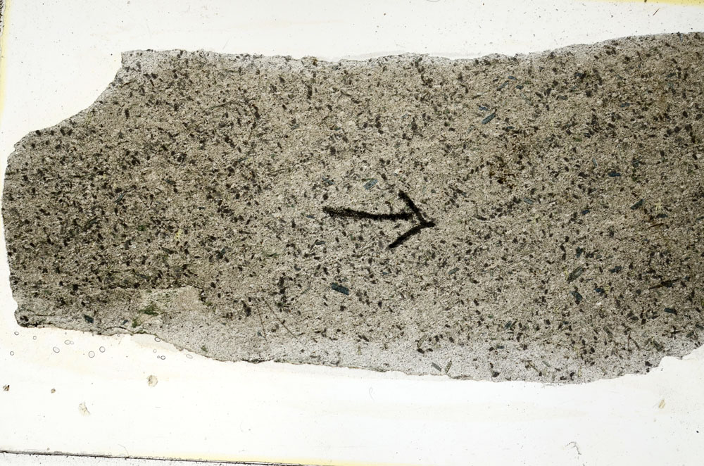 Plane Polarized, S89244