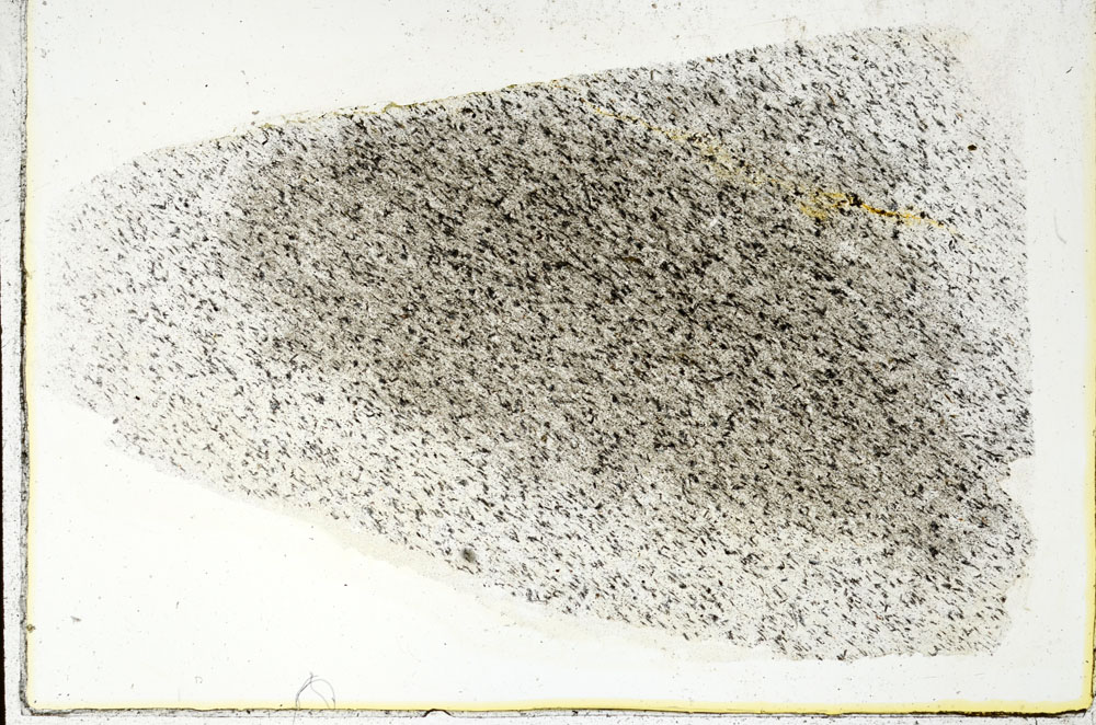 Plane Polarized, S89245