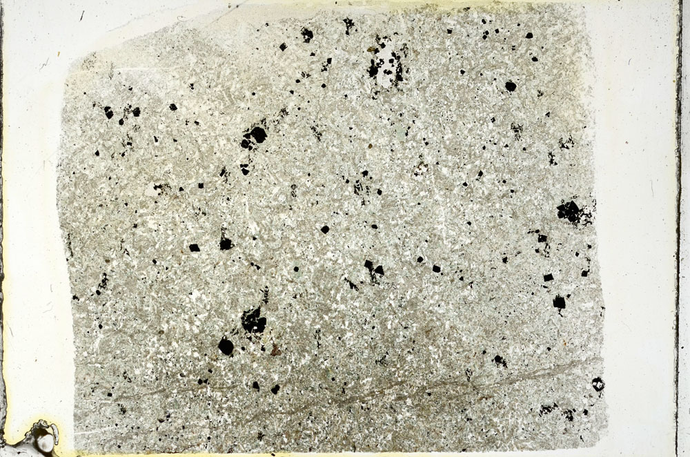 Plane Polarized, S89246